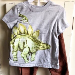 Boys dinosaur outfit